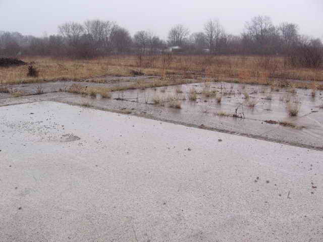 Show Boat Drive-In - 2006 Photo
